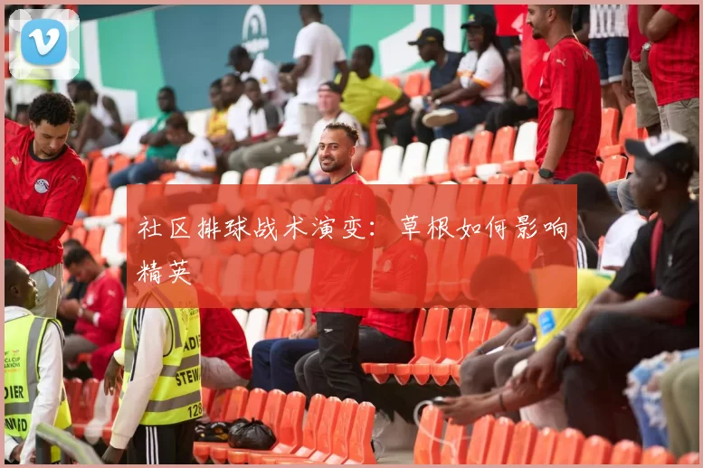 社区排球战术演变：草根如何影响精英