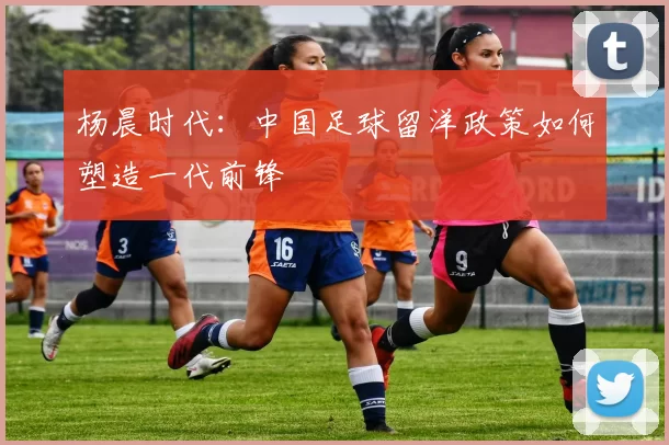 杨晨时代：中国足球留洋政策如何塑造一代前锋