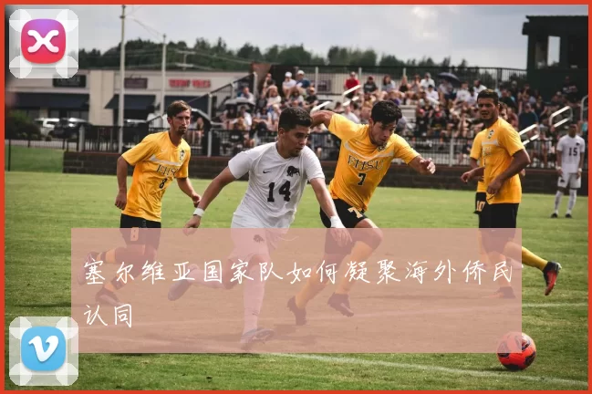 塞尔维亚国家队如何凝聚海外侨民认同