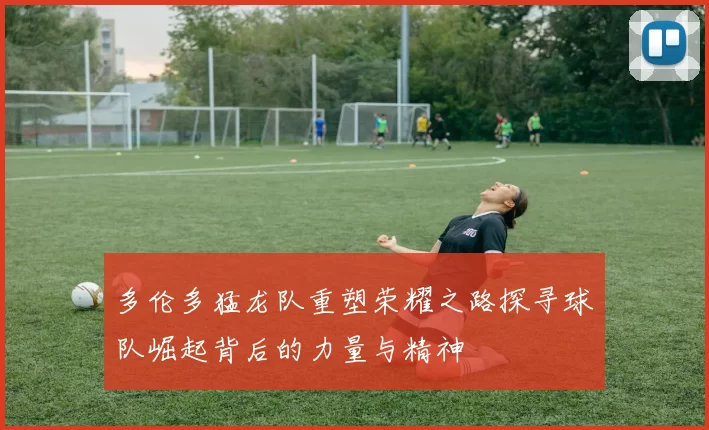 多伦多猛龙队重塑荣耀之路探寻球队崛起背后的力量与精神